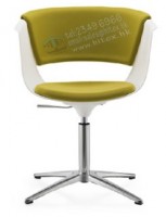 Leisure chair H102-EDR004C