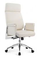 director chair H102-141A