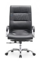 director chair H102-113A