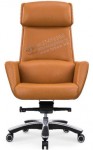 H102-310A Director chair