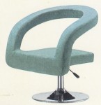 Leisure Chair H40-006-309