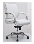 director chair H102-148B