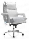 director chair H102-102B1