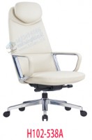 H102-538A Director chair