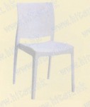 Leisure Chair H40-218-DC355