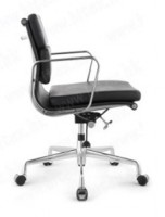 director chair H102-138B2