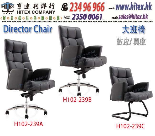 director-chair-h102-239a.jpg