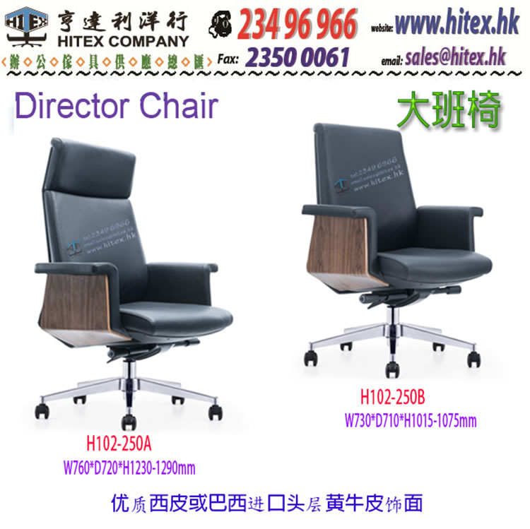 director-chair-h102-250.jpg