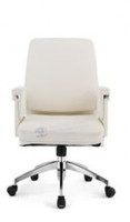 director chair H102-141B