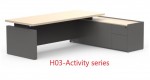 director desk H03-Activity