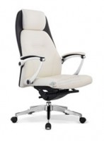 director chair H102-137A